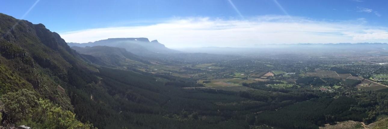 Wayne Gosling banner