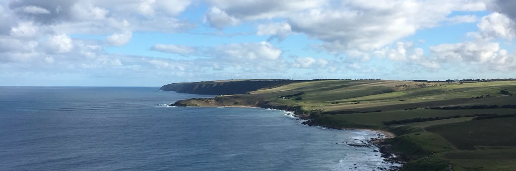 Tasya Vadya Sarira banner