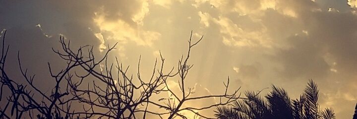 Iajr1's profile banner image