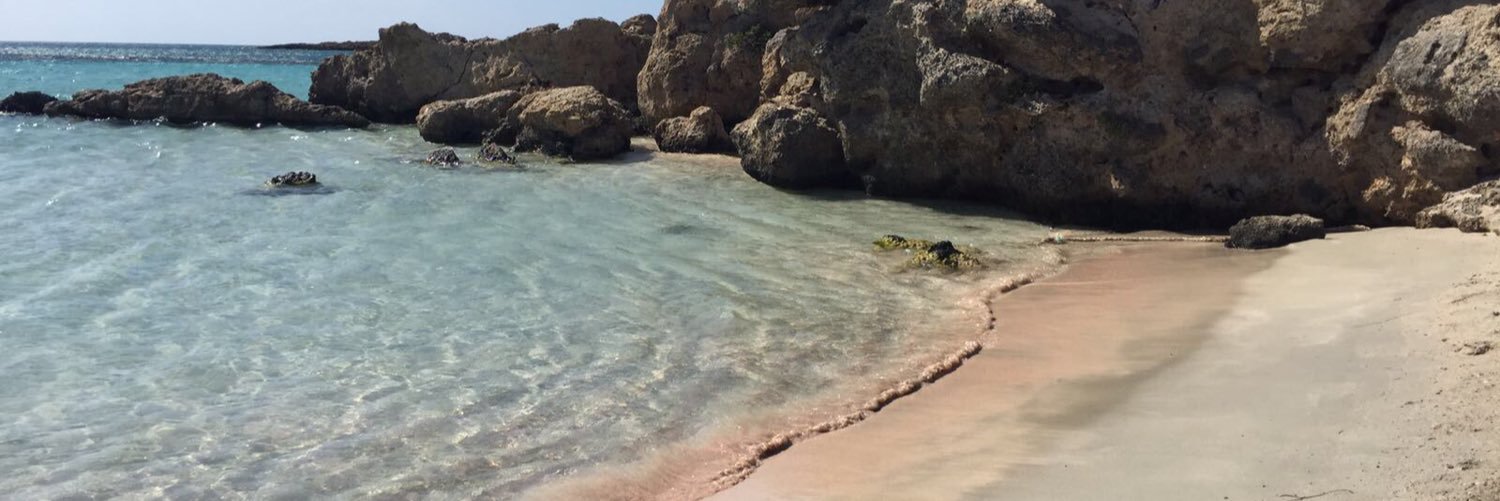 Kat Michalakis banner