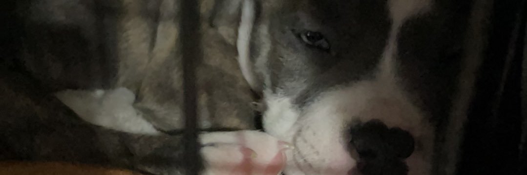justusrene99's profile banner image