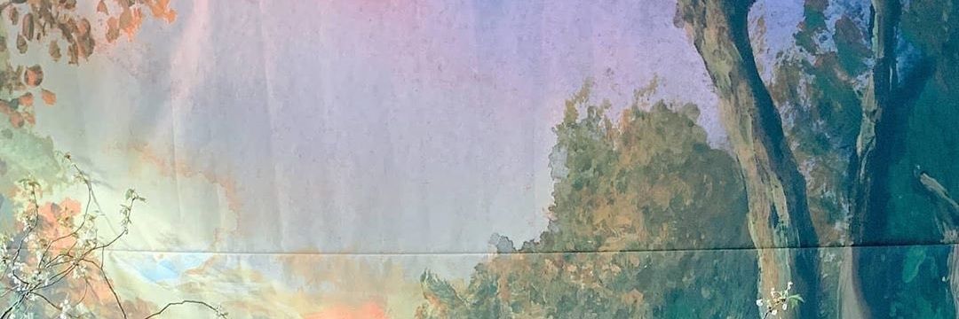lenteranin's profile banner image