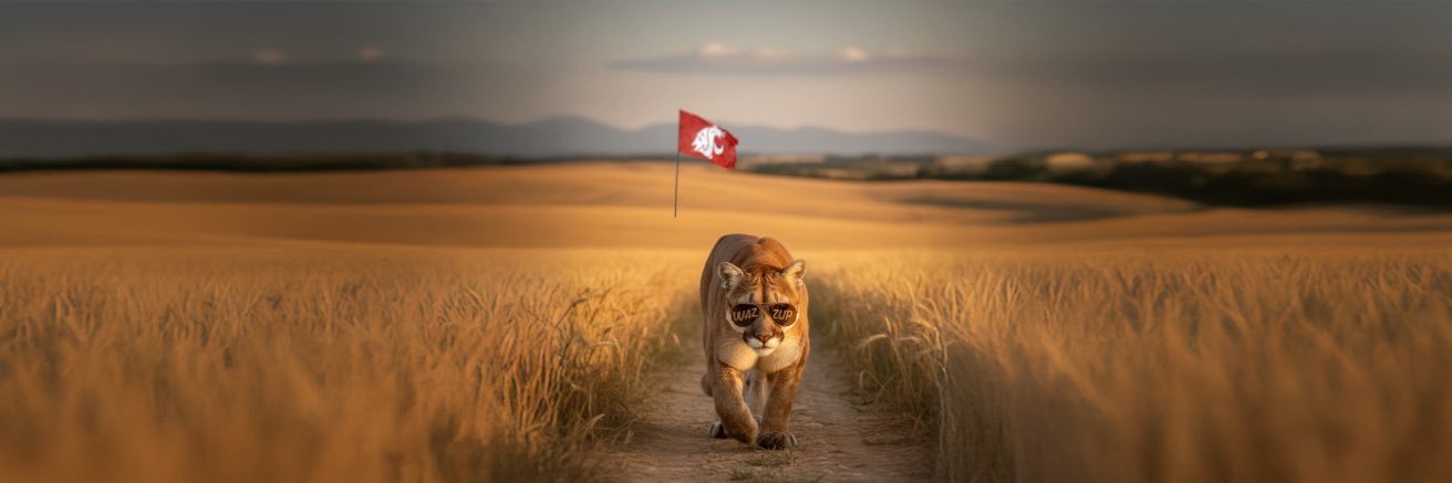 Ol' Crimson banner