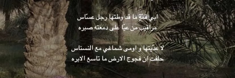 tahnibint's profile banner image