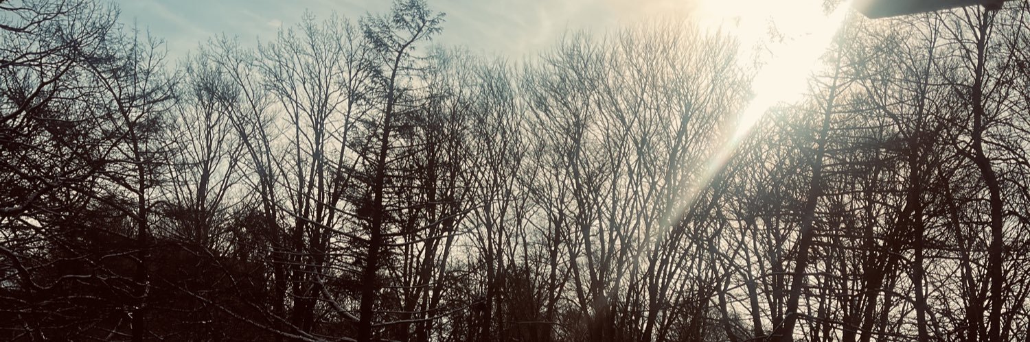 mingleleslie_'s profile banner image