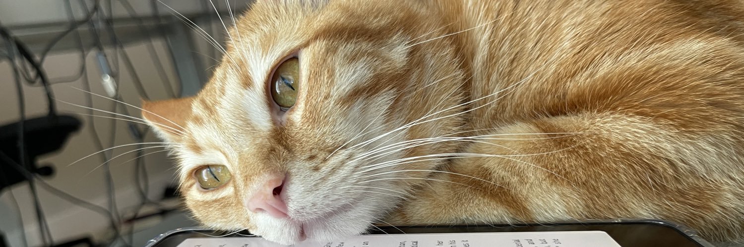 drunkbre's profile banner image