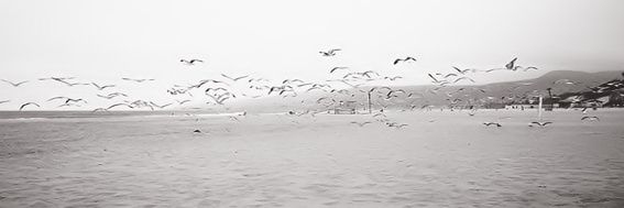 11T11T's profile banner image