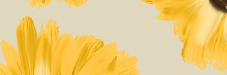 marialv26_'s profile banner image