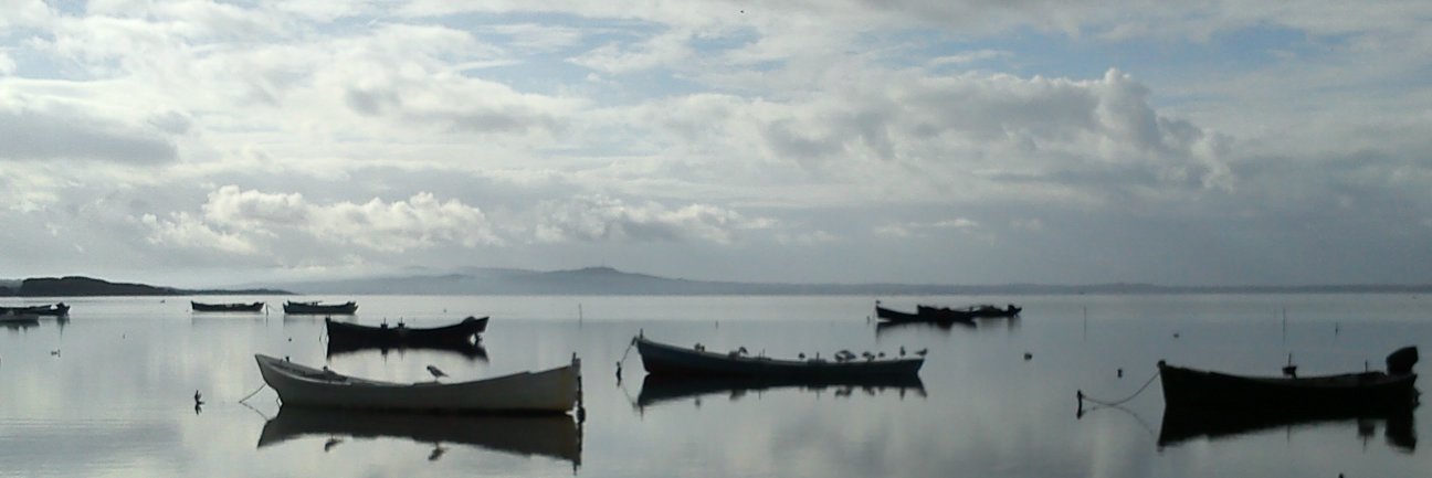 dindondan's profile banner image
