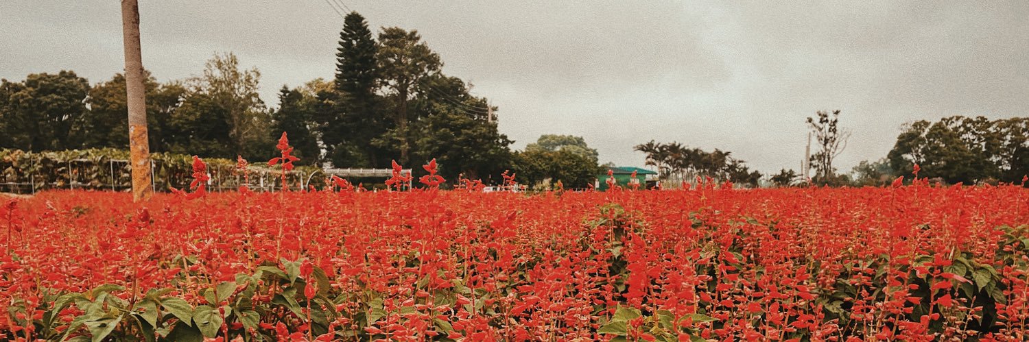 vvlbn_'s profile banner image