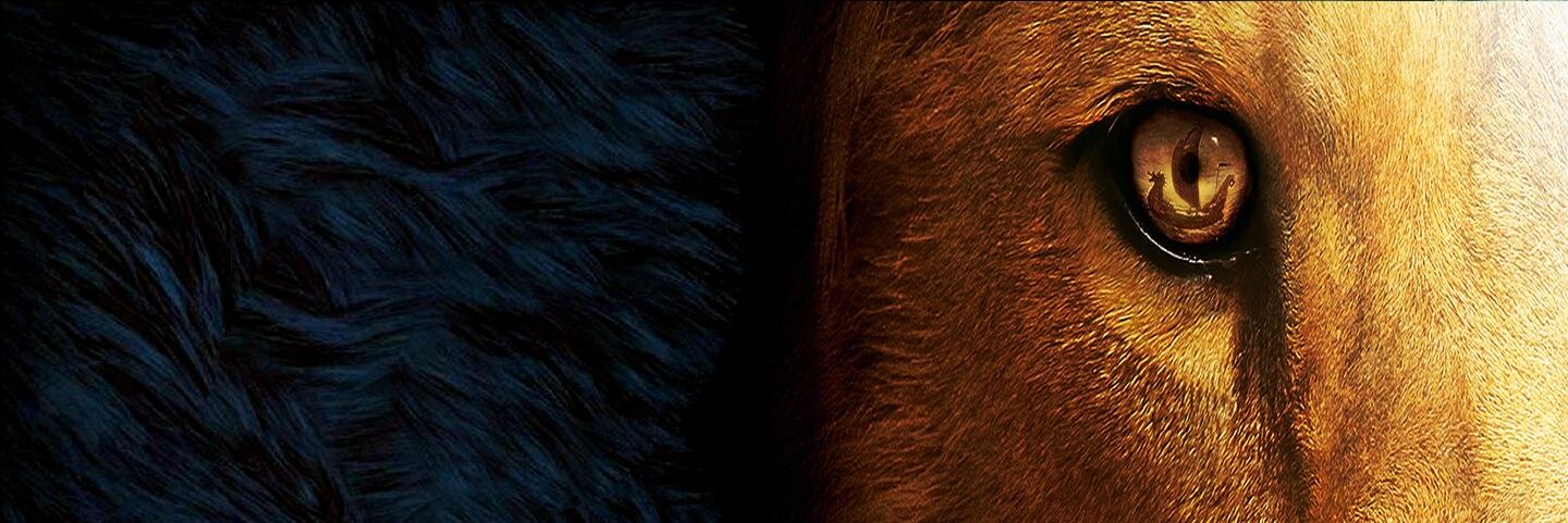 xergioe's profile banner image