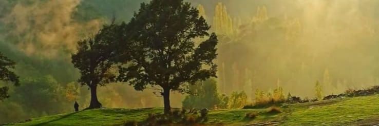 halilkul007's profile banner image