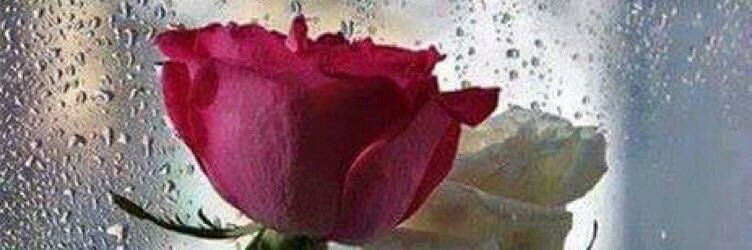 woun1976's profile banner image