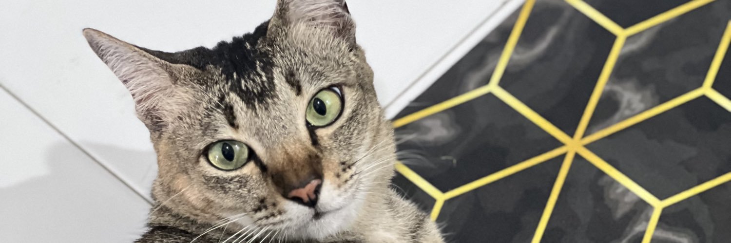 beexa_'s profile banner image