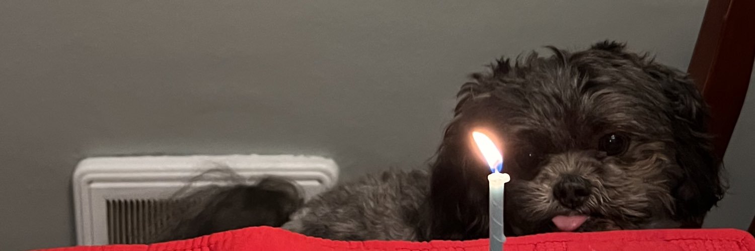 9blpz's profile banner image