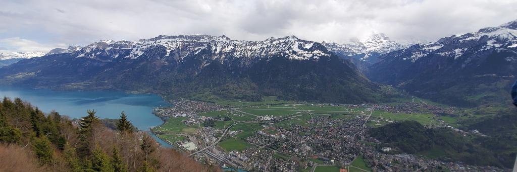 Daniel Bregante banner