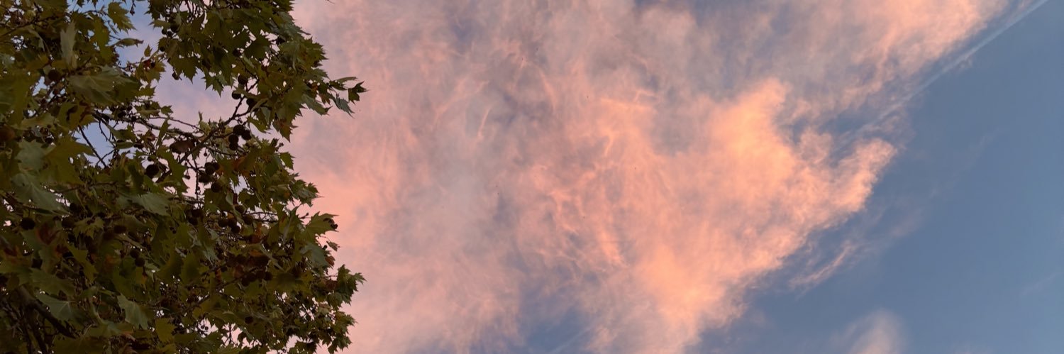 nerearojas_'s profile banner image
