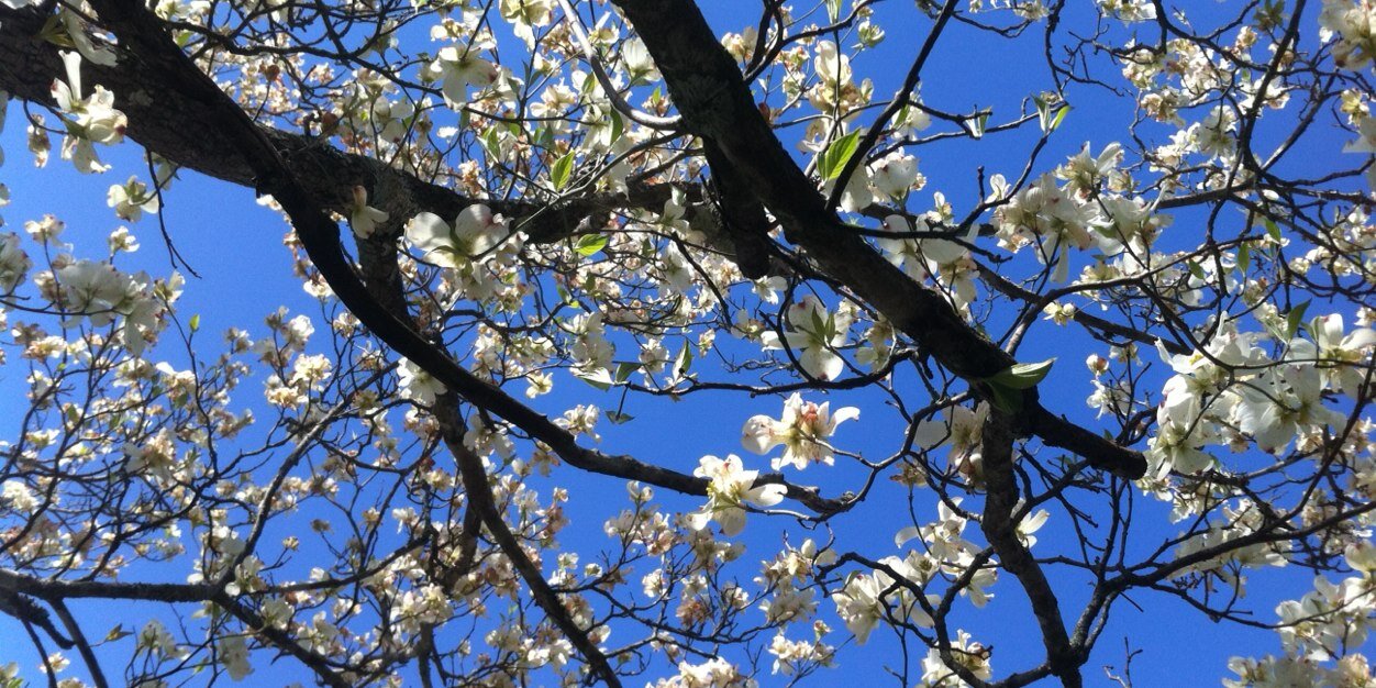 TWadeBerry's profile banner image