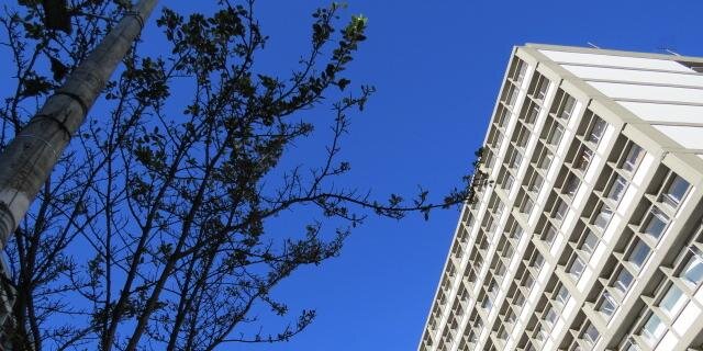 Sonia C Perdomo banner