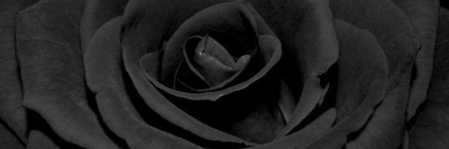 Adamwriter5's profile banner image