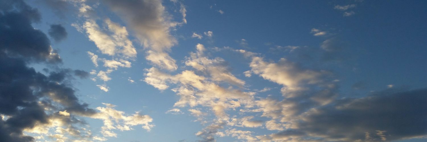 Vittoria banner