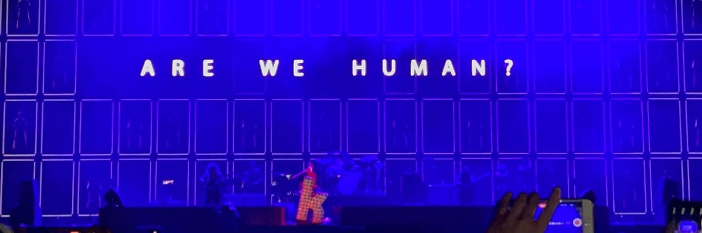 A_cat28's profile banner image
