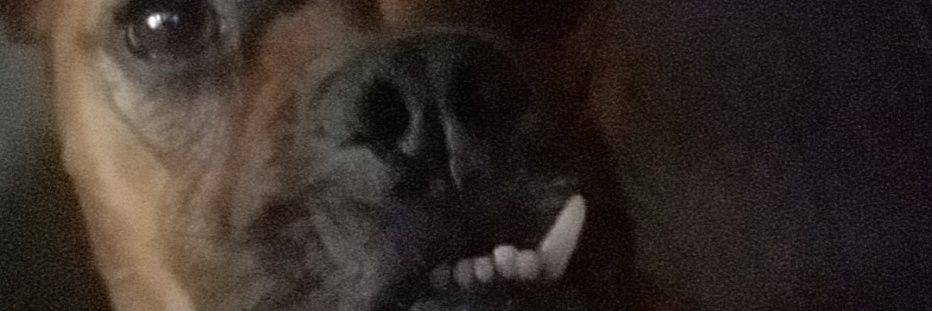 BadKidKelly's profile banner image