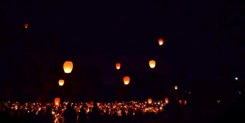dini_perry's profile banner image