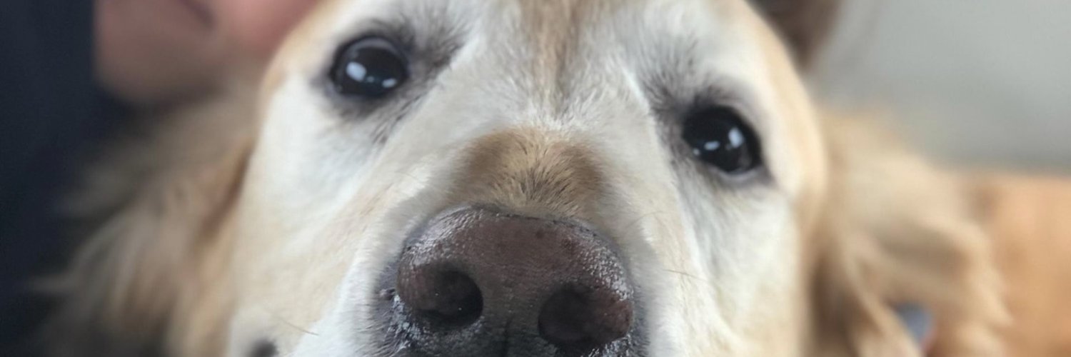 LarryPrebis's profile banner image