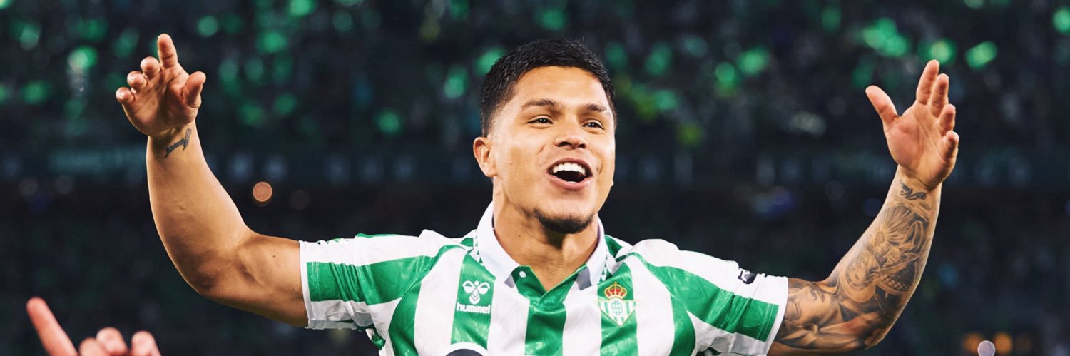 sergiovioque's profile banner image