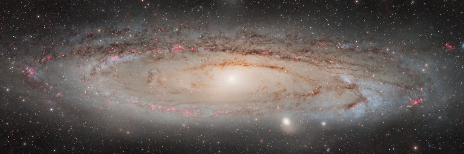 Daryl Mason 🔭 banner