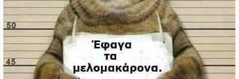 elenakittyS's profile banner image