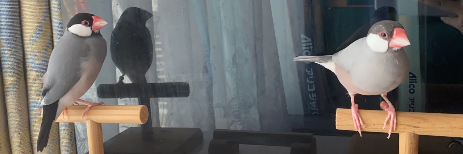 rh_naomicam's profile banner image