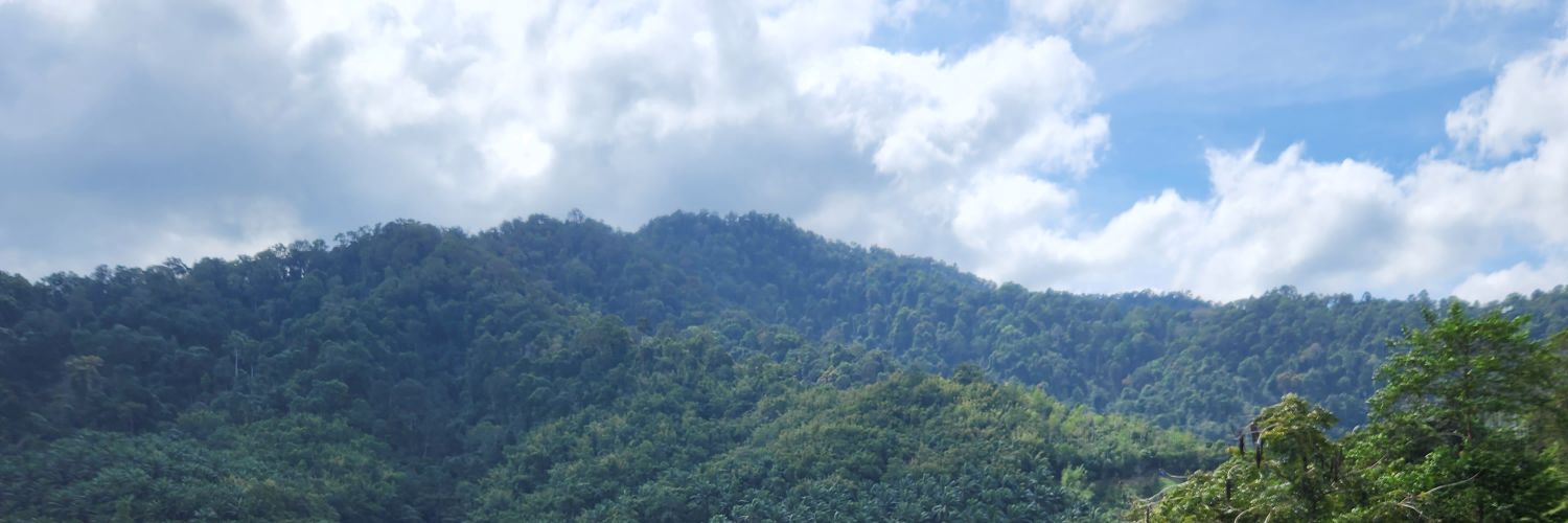 FGulener's profile banner image
