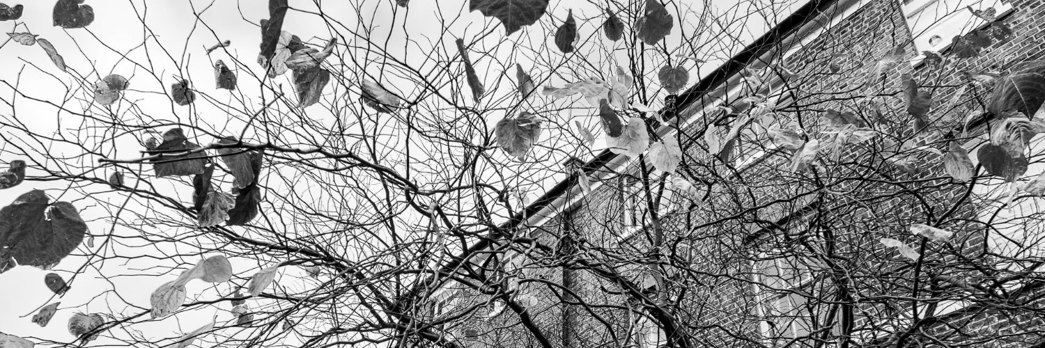 PialaMurray's profile banner image