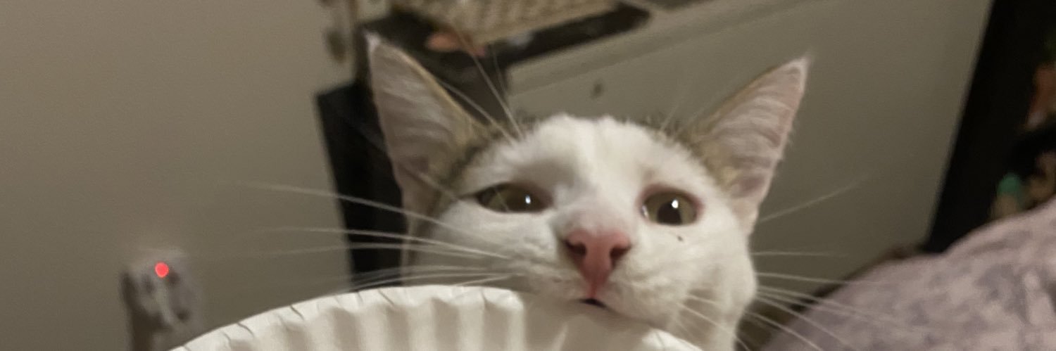 meaggx's profile banner image