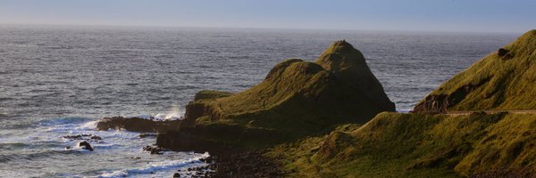 HamptonStall Profile Banner