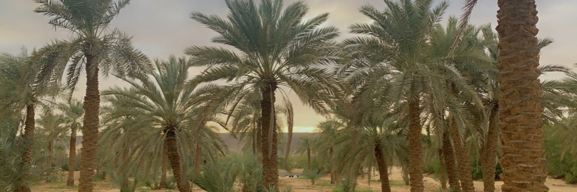 DimahAlahmadi's profile banner image