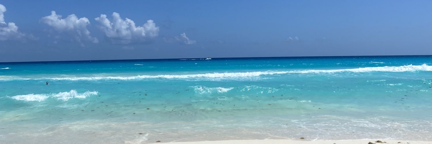 breannacrain's profile banner image