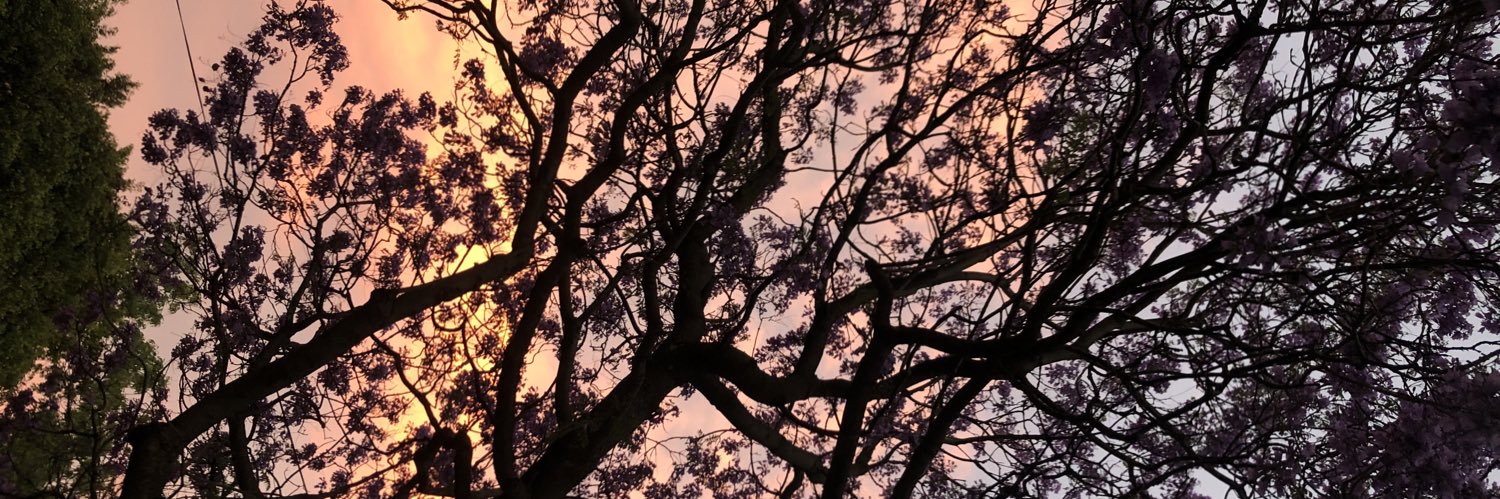 lauraetm's profile banner image