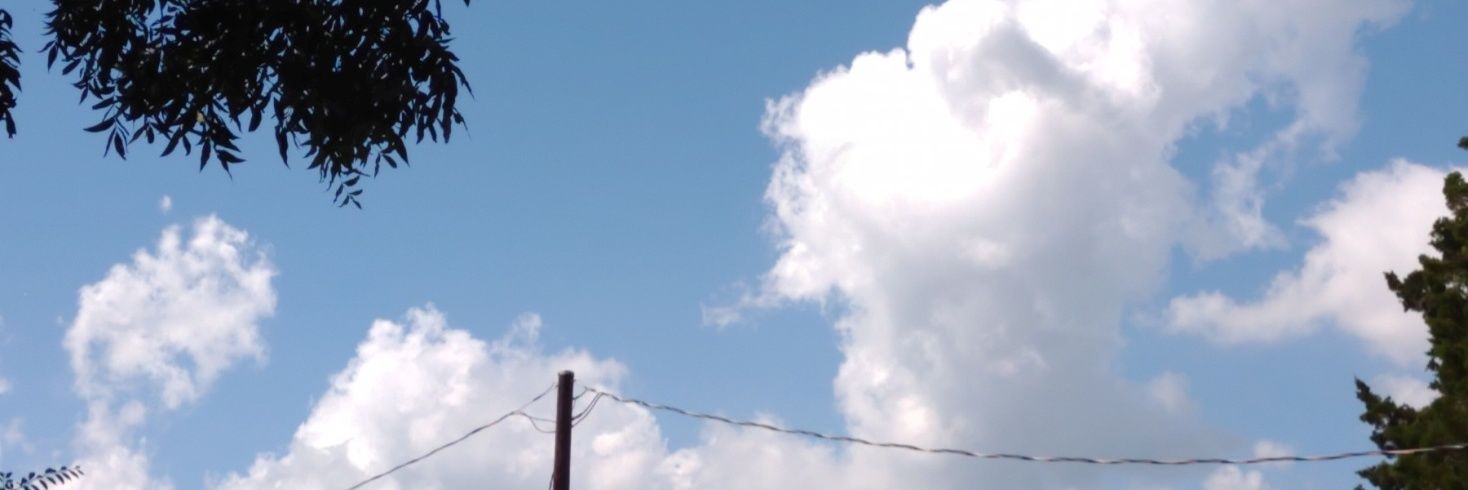 Delarry Carter banner