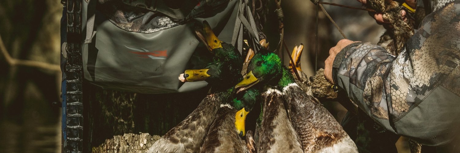 ChandlerMints's profile banner image