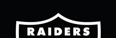 Dat_Raider_Dude's profile banner image