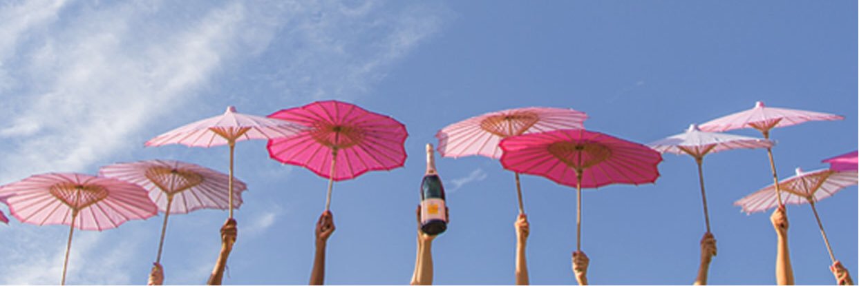 Melanie Baevsky Besvinick banner