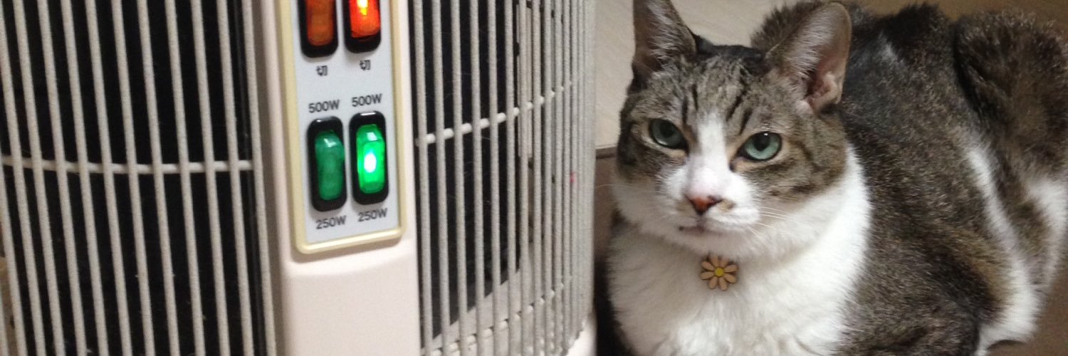tabipaw1's profile banner image