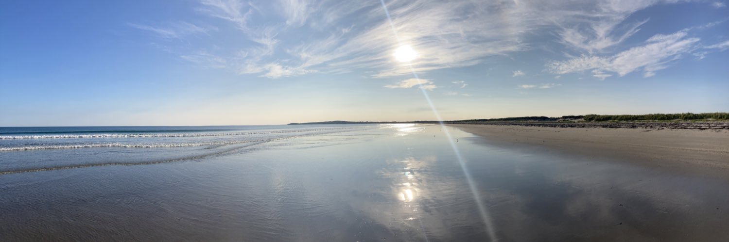 red. 🇵🇸🇨🇦 banner