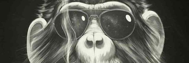 brakioh's profile banner image