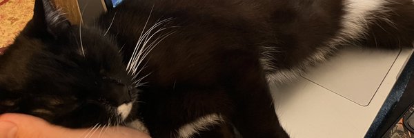 iNathanM Profile Banner