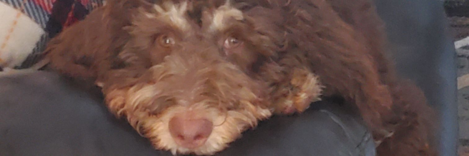 AndysTwatterBox's profile banner image