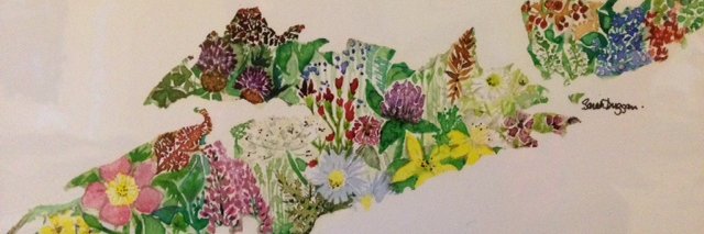 RockburnHarbour's profile banner image